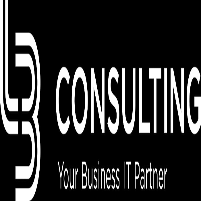 L3 Consulting